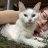 AliceMeowliss (GA)