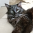 Binx's Mom