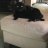 Tina and Salem