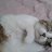 Ilianna and Socrates