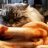 squeecat