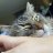 FauxPaw