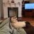 gizmo Turkish van & Erin