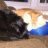 Onyx & Klepto