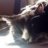 Mel and Oreo