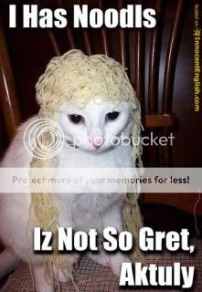 cat-with-noodles.jpg