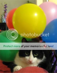 partyballoonluna012.jpg