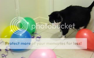baloonfloor009.jpg