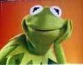 Kermit.jpg