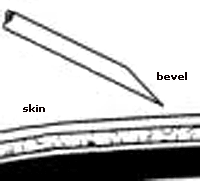 bevel.gif