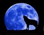 Bluemoon.jpg