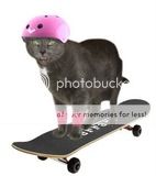 punkskate.jpg