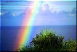th_rainbow_0042.jpg
