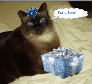 006-1-1-1.gif