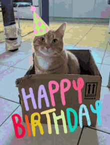 happy-birthday-cat.gif