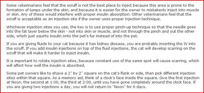 injsitesforcats2.jpg
