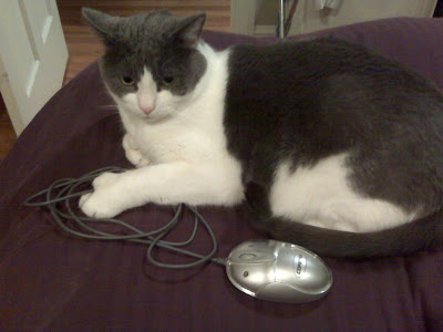IMG00072.jpg